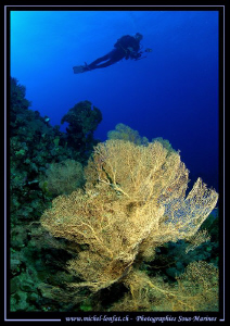 Red Sea Atmosphere... by Michel Lonfat 